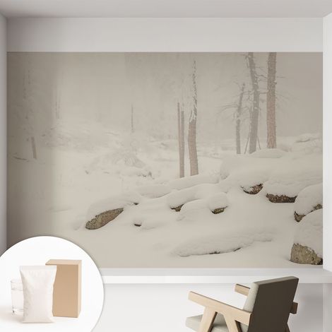 Papier peint intissé décoratif pour salon chambre et cuisine Facile à poser avec colle Forêt enneigée 152x104 cm (1/5)