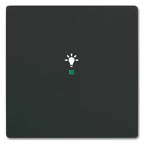 Busch-Jaeger 6231-10-885 Wippe 1-fach, mit Symbol "Licht" (1/2)
