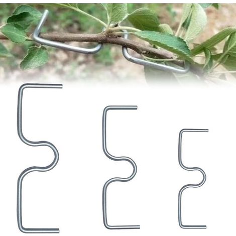 Keyoung – Lot de 30 tendeurs de branches en métal – 5,5/4,5/3,5 pouces – Fil galvanisé à chaud – Pour arbres fruitiers et bonsaïs (1/5)