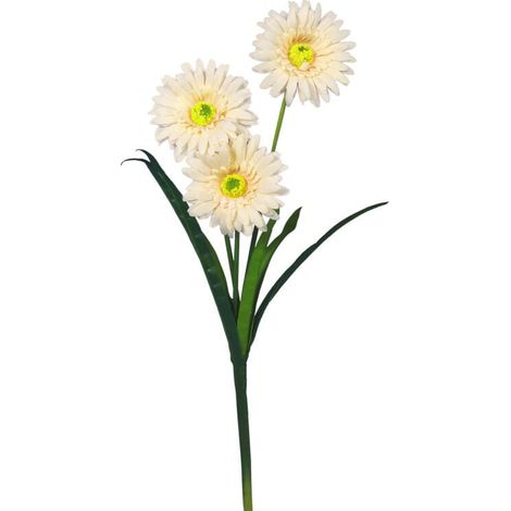 Ramo di gerbera artificiale color crema - Decorazione di alta qualità 55 cm (1/3)