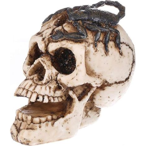 Crâne de scorpion réaliste, statue en résine, tête de squelette, cimetière de crânes, figurine (1/5)