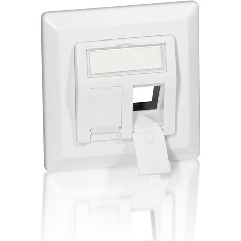 Equip Unterputzdose Frontplatte 2 Keystone 45 RAL 9010 Polybeutel