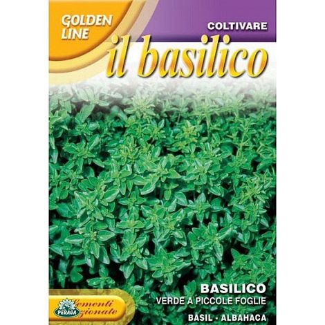 BUSTINA CON SEMI DI BASILICO VERDE A PICCOLE FOGLIE (1/2)