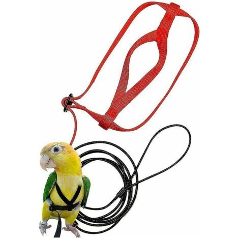 QORVA-Harnais d'oiseau de compagnie réglable perroquet harnais d'oiseau laisse corde d'entraînement anti-morsure pour animal de compagnie harnais de vol extérieur---XS, Ensoleillé