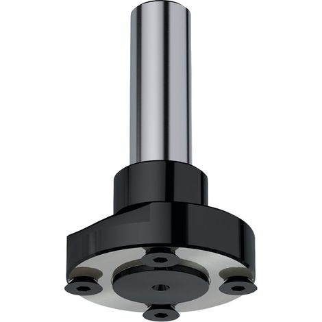 183.410.30 Spannfutter PORTE-Sageblatt ATT/CYLINDRE S=20 D=59 B=30x2.2 PH=4/M6/48 (1/2)