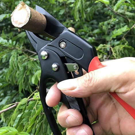 Sécateur à Crémaillère Automatique pour Haies et Jardin – Lame en Acier Trempé, Enclume Stable et Mécanisme Cliquet Effort Réduit (1/3)