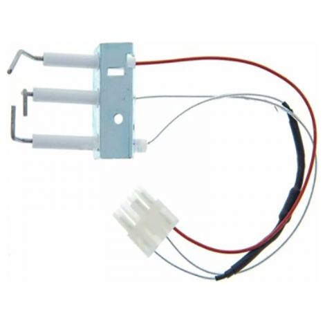 Conjunto de Electrodos Fagor  Encendido e Ionización Original (810006484) para FEG11DB, FEP11DSN y THE11TDRF1N