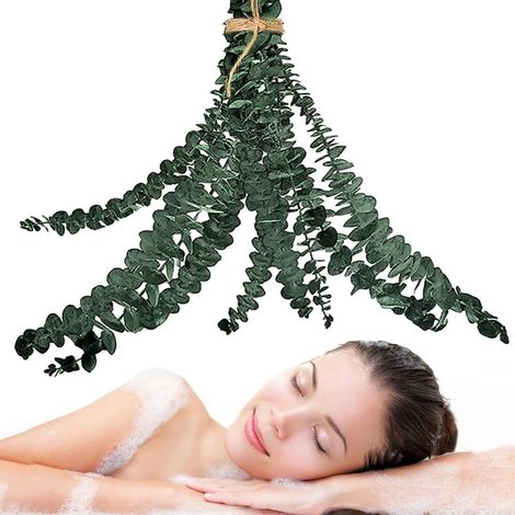 Bouquet Eucalyptus Séchées 10 Bâtons Eucalyptus Seches Naturel Salle De Bain Environ 15 À 17 Pouces De Long, Parfum Agréable, Purifier L'air pour Salle De Douche Spa Mariage Maison (1/5)