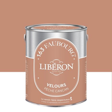 LIBERON Peinture pêche cancan multisupport 163 faubourg LIBÉRON velours 2.5 l