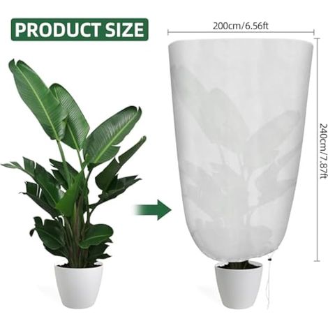 Grande housse de protection hivernale antigel avec fermeture éclair réutilisable pour arbres en pot, oliviers et palmiers, résistante au vent (200 x 240 cm, blanc) (1/3)