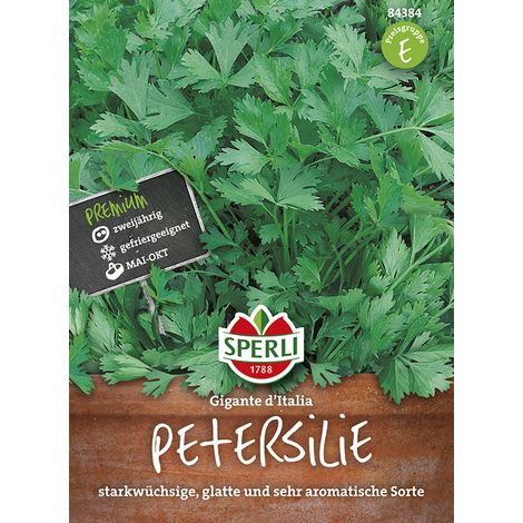 Sperli Petersilie Gigante Di Napoli - Gigante D' Italia - Kräutersamen (1/2)