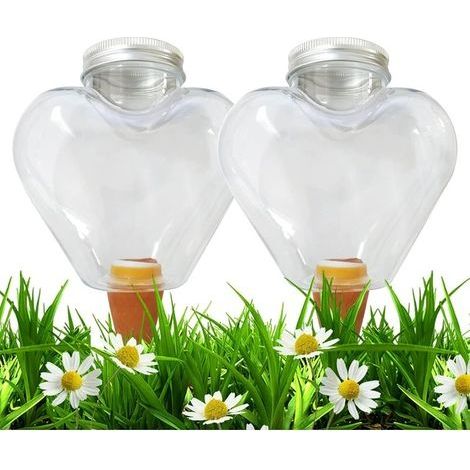 2 Pièces Cone Arrosage Bouteille 500ML, Bille Argile Plante Interieur, Systèmes D'irrigation Automatique pour Planter Pot, Distributeur Eau Plantes Arroser Vacances Transparent Boules (Forme de (1/3)