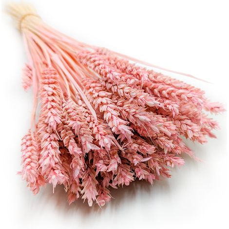 Trigo seco - Rosa