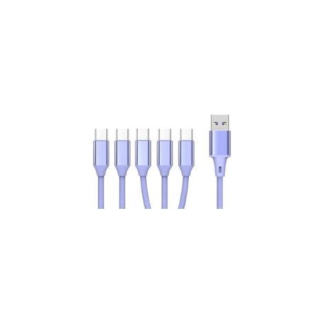 Câble répartiteur micro USB 2.0 vers micro USB Type-C, cordon de charge multiple 5 en 1 - 5 ports Type C