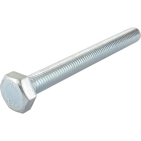 Vite testa M10x 100mm GGP - CASTELGARDEN 112794980/0
