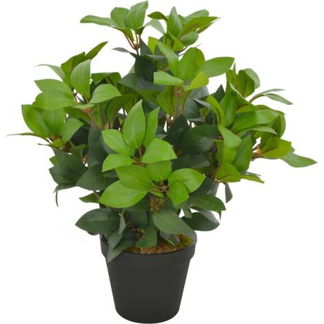 Plante artificielle en pot, laurier vert, 40 cm (1/3)