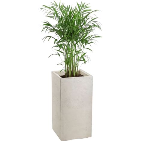 Maceta Betonique con ruedas, hormigón reciclado, color beige, 30x30x60 cm (1/5)