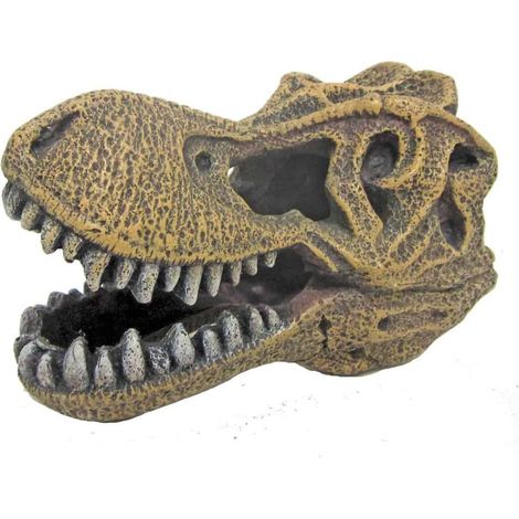 Set 2 pezzi Amtra Deko Teschio Di T-Rex