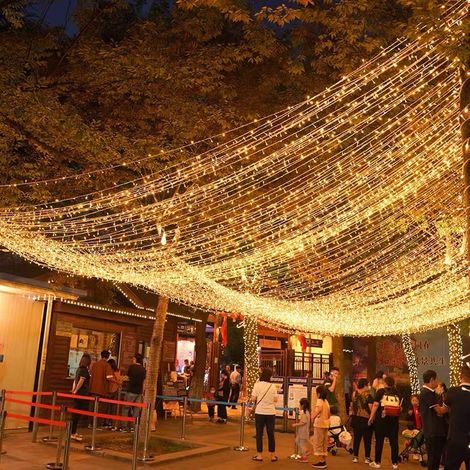 30M 300 LED Lichterketten Karneval Hochzeit Outdoor Indoor Gartenbeleuchtung (Warmweiß) (1/5)
