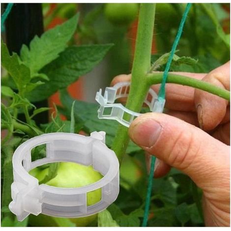 Clips pour Plantes - Taille Unique - Lot de 100 - Blanc - Support pour Tomates - Matériau Plastique (1/4)