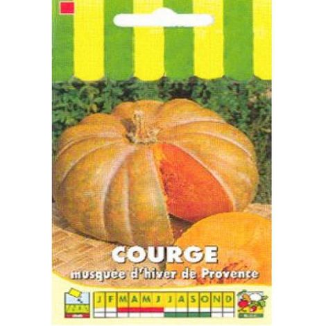 Courge musquée de Provence le sachet de 12 15 graines (2g)