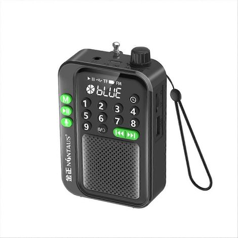 C90 Mini Pocket FM Radio Numérique Radios Récepteur sans Fil Bluetooth MP3 Enceinte avec LED Affichage Enregistrement (1/5)
