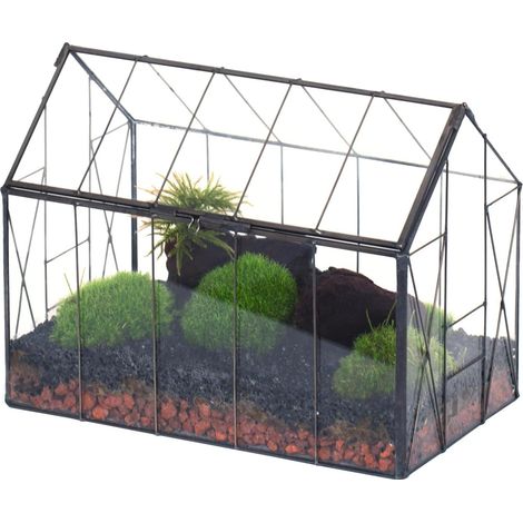 24x14x18,5cm Petite Terrarium en Verre avec Couvercle pour Petites Plantes, Boîte Serre Transparente en Forme de Maison fermée Décoration géométrique d'intérieur (Terrarium Uniquement) (1/5)