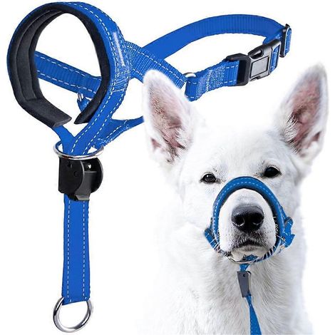 Muselière de dressage sécurisée en nylon pour chiens agressifs - Taille S - Bleu (1/4)