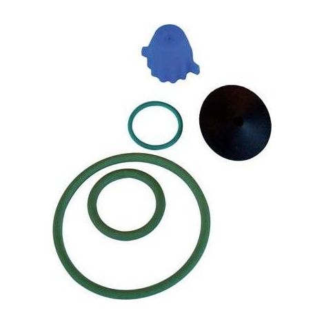 KIT DE RECHANGE POUR POMPE EROS VITON DE DEGAN