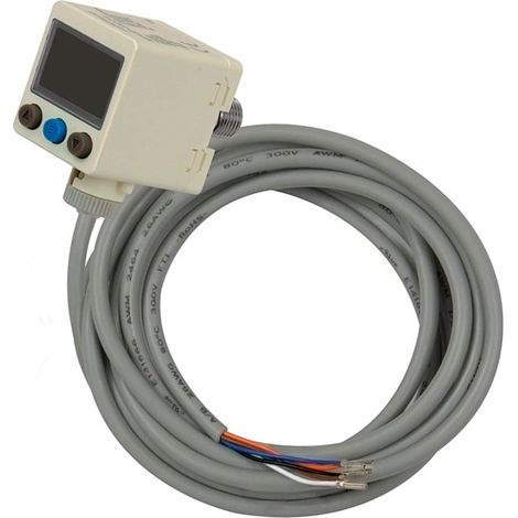 Riegler Elektr. Druckschalter, Digital, G 1/8, 0-10 bar, 2xNPN + 1x1-5 V