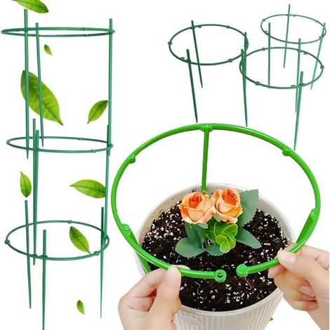 Anneau de support pour plantes - Arche à 3 anneaux pour plantes en pot (1/5)