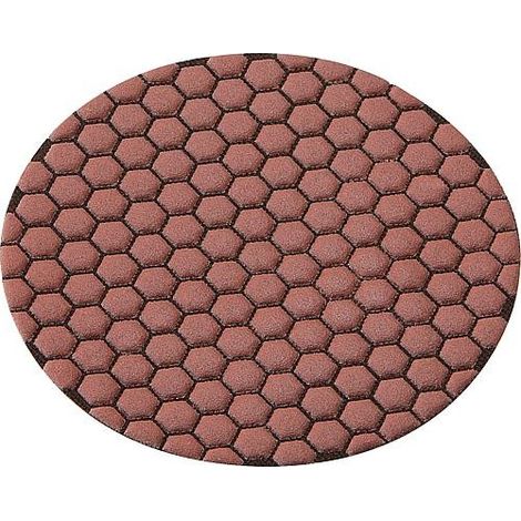 Flex Pads diamantés de polissage DP 100 DRY D115 (1/2)