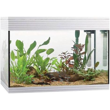 ASKOLL PURE KIT L ACQUARIO CM 56x36x43,5h 68 LITRI DOTATO DI ILLUMINAZIONE A LED E SISTEMA DI FILTRAGGIO Bianco (1/2)