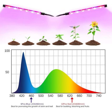 Lampe de croissance LED pour plantes d'intérieur, luminaire horticole 15 W, 9 LED rouges et 6 LED bleues, avec pince de fixation. (1/5)