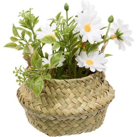 Arreglo de margaritas Tifi H17cm - Atmosphera créateur d'intérieur (1/4)