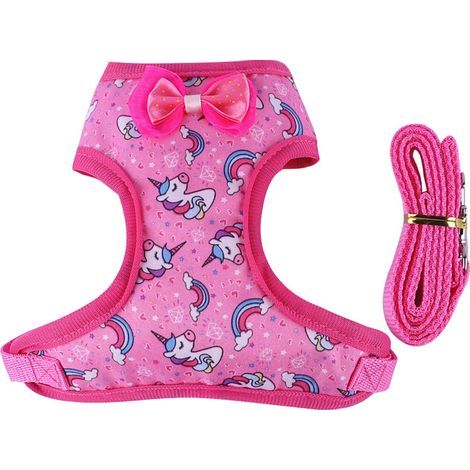 Ensemble de promenade rose adapté aux canards apprivoisés – Accessoire mignon pour canard, laisse de promenade et d'entraînement réglable convenant aux poules, oies et coqs (ensemble de 2 pièces) (1/5)