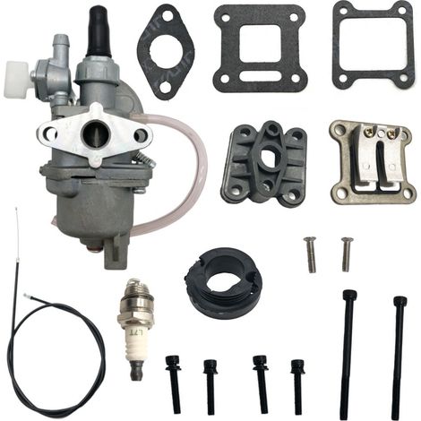 42 mm Vergaser mit Zubehör CG328 505-059 für SX350, SX500 und SX650 Motoren (47 cm³ und 49 cm³). (1/4)