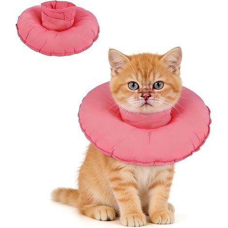 Collier conique chat (1/4)