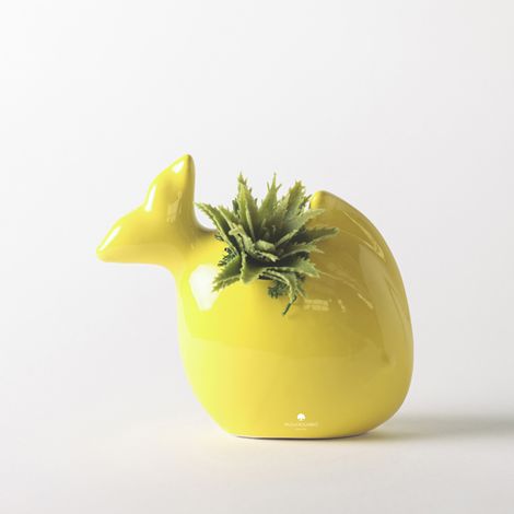 Pianta grassa in vaso ceramico artigianale per decorazione e regalo Pesciolino - Giallo