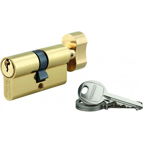 Cilindro europeo SA UNIKEY con pomolo 30 x 30 mm in ottone, chiave uguale, 3 chiavi - THIRARD