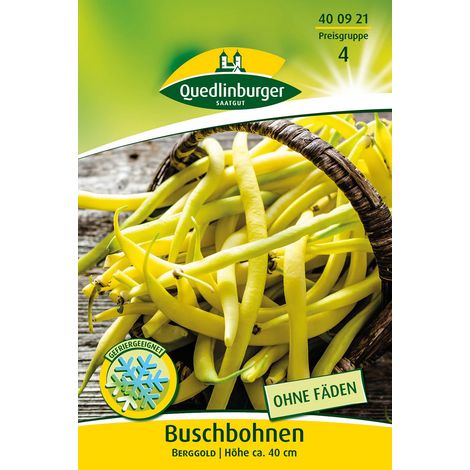 Quedlinburger Buschbohnen Berggold - Gemüsesamen (1/2)