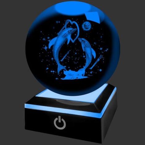 Lumière d'ambiance 3D Dauphin LED, Lampe Cristal changeant de couleur, Cadeau Dauphin pour Enfants Amoureux Amis (1/5)