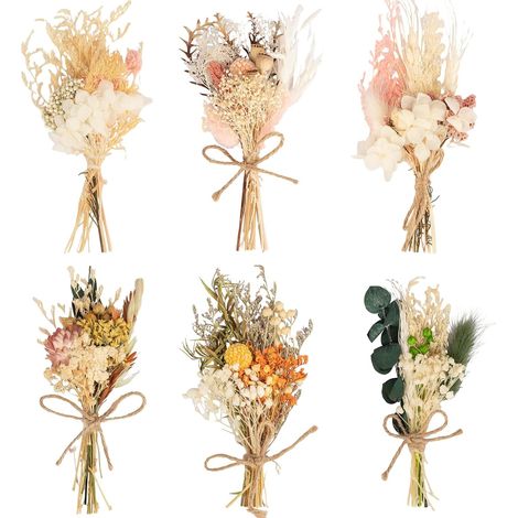 6 Pcs Fleurs Séchées, Fleur Séchée Bouquet de Fleurs Séchées Fleurs Sechees Vrac Fleur Sechees Decoration pour Scrapbooking Bougie Bricolage Résine Époxy Floral Fabrication (Style 2) (1/5)