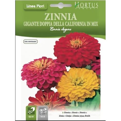 ZINNIA GIG.DOP.CALIFORNIA MIX DB