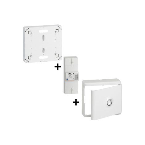 Legrand - Disjoncteur de branchement EDF 60A Su00e9lectif + Platine + Habillage avec Porte - Ru00e9f. : 401006+401191+401185 (1/5)