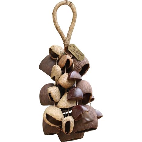 Sonajero de semillas, sonajero de semillas naturales hecho a mano, campana de viento, encanto de bolsa, instrumento africano mixto y decoración natural (1/5)