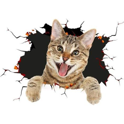 CCYKXA (B)3D Cat Removable Car Sticker Car Decoration Sticker Car Window Animation Funny Decoration Kitten Sticker Car Shape Sticker