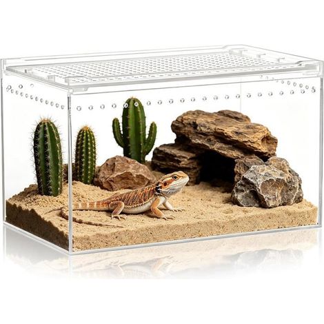 Terrarium acrylique 1 unité Transparent Observation de reptiles et d'escargots Habitat animalier 20 x 15 x 10 cm (1/5)