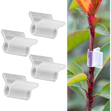 100 pinces essentielles pour le greffage de plantes (2,5 mm) (1/5)