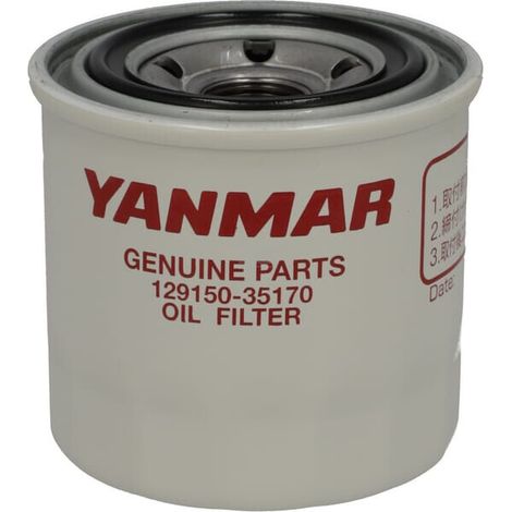 Filtre LANDINI 3678034M3 (1/4)